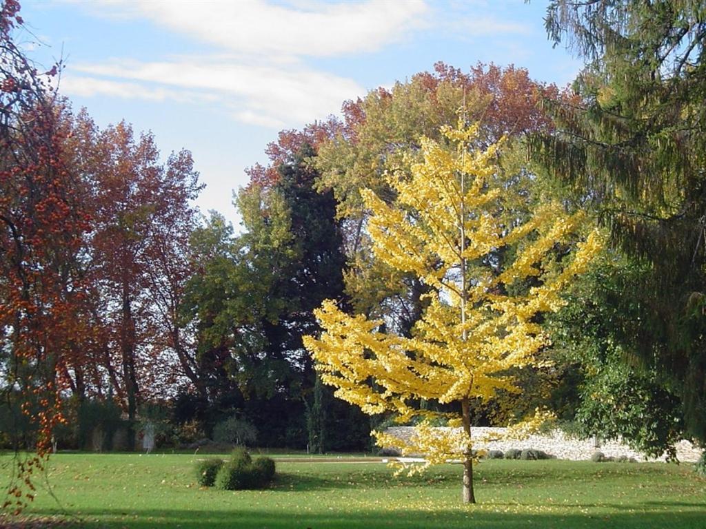 Chambres D'Hotes Chateau Beaupre Saint-Laurent-des-Arbres Kültér fotó